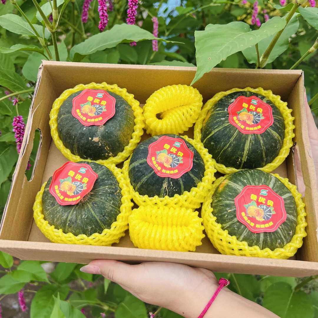【磊哥心选】贝贝南瓜一箱 带箱3斤左右南瓜同城送