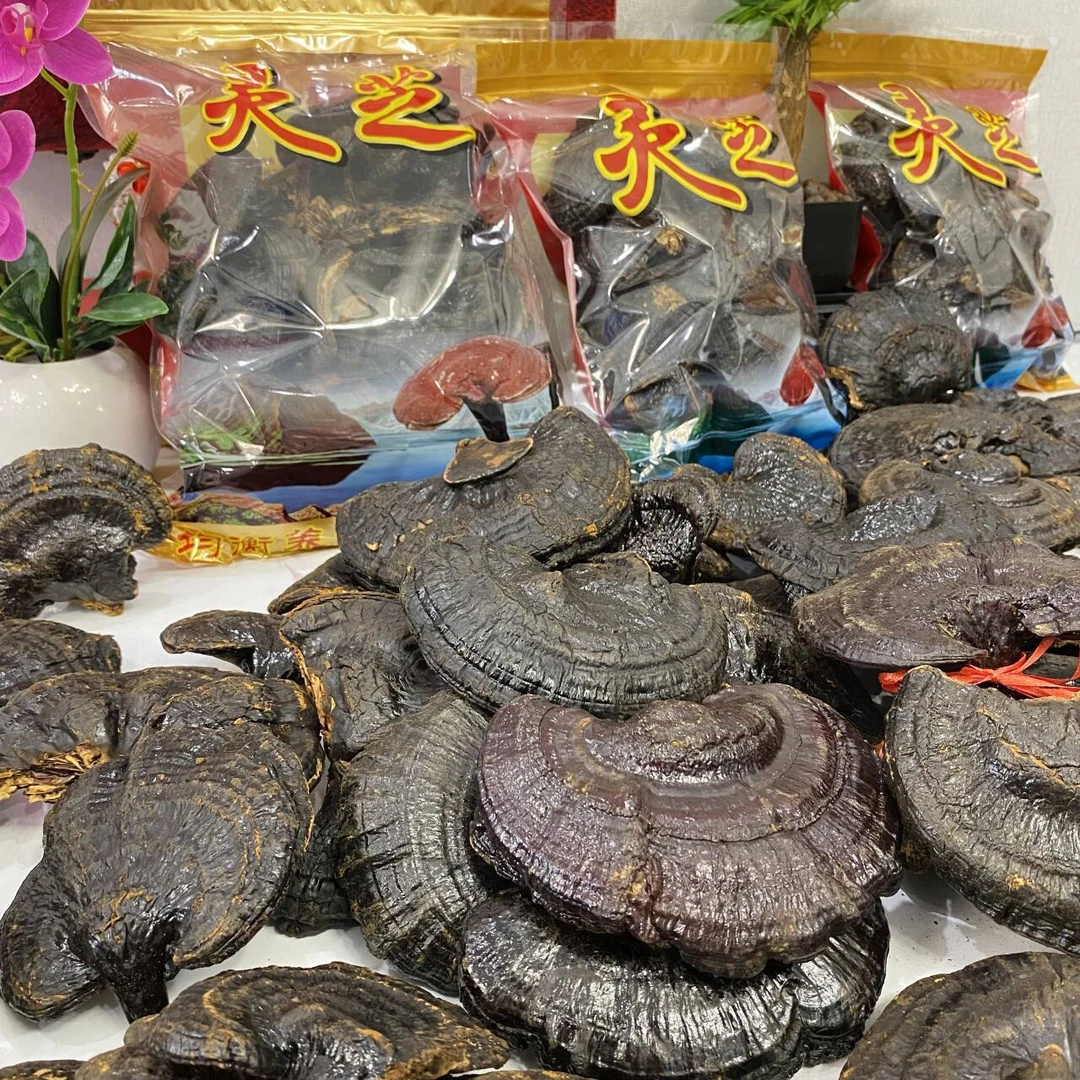 精选正宗黑灵芝整朵干货 可泡茶煮水煲汤泡酒