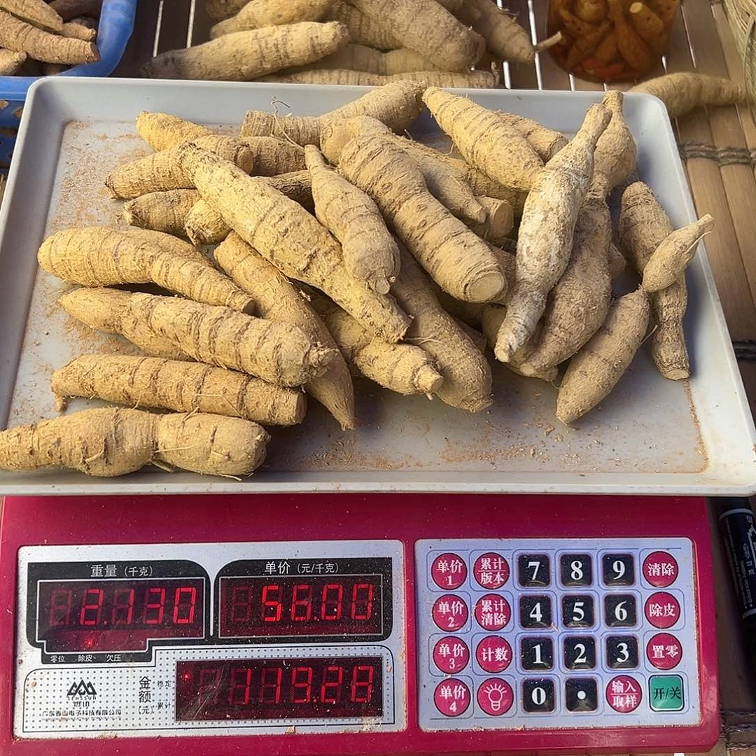 中国大陆黄牛甘甜煲汤泡酒