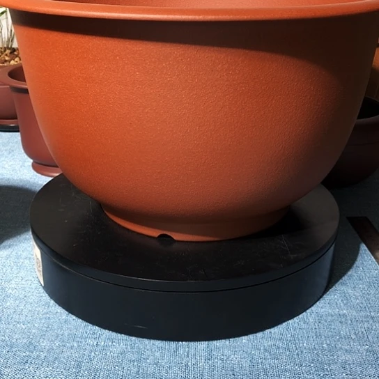 比***多宜兴紫砂花盆种植