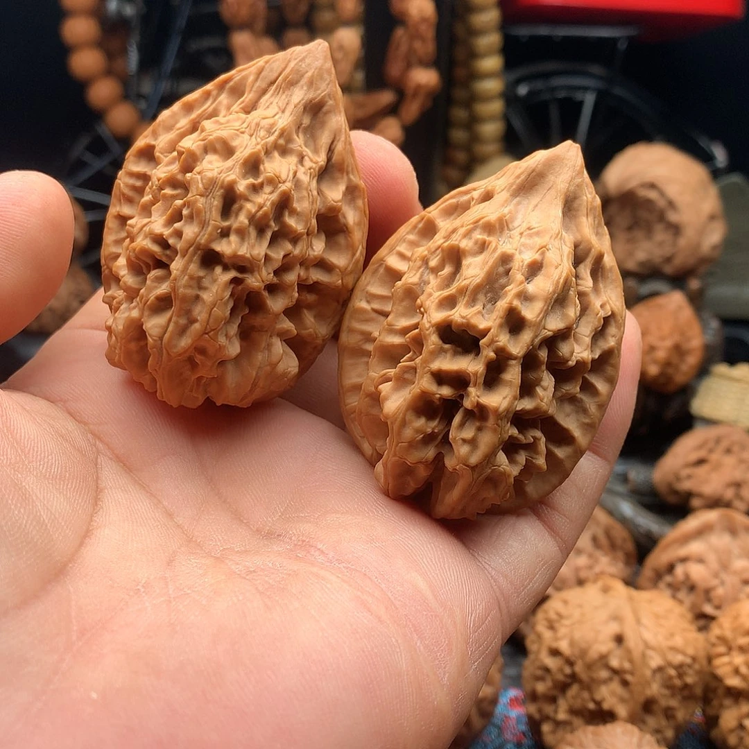 把件文玩核桃全品剑齿虎40