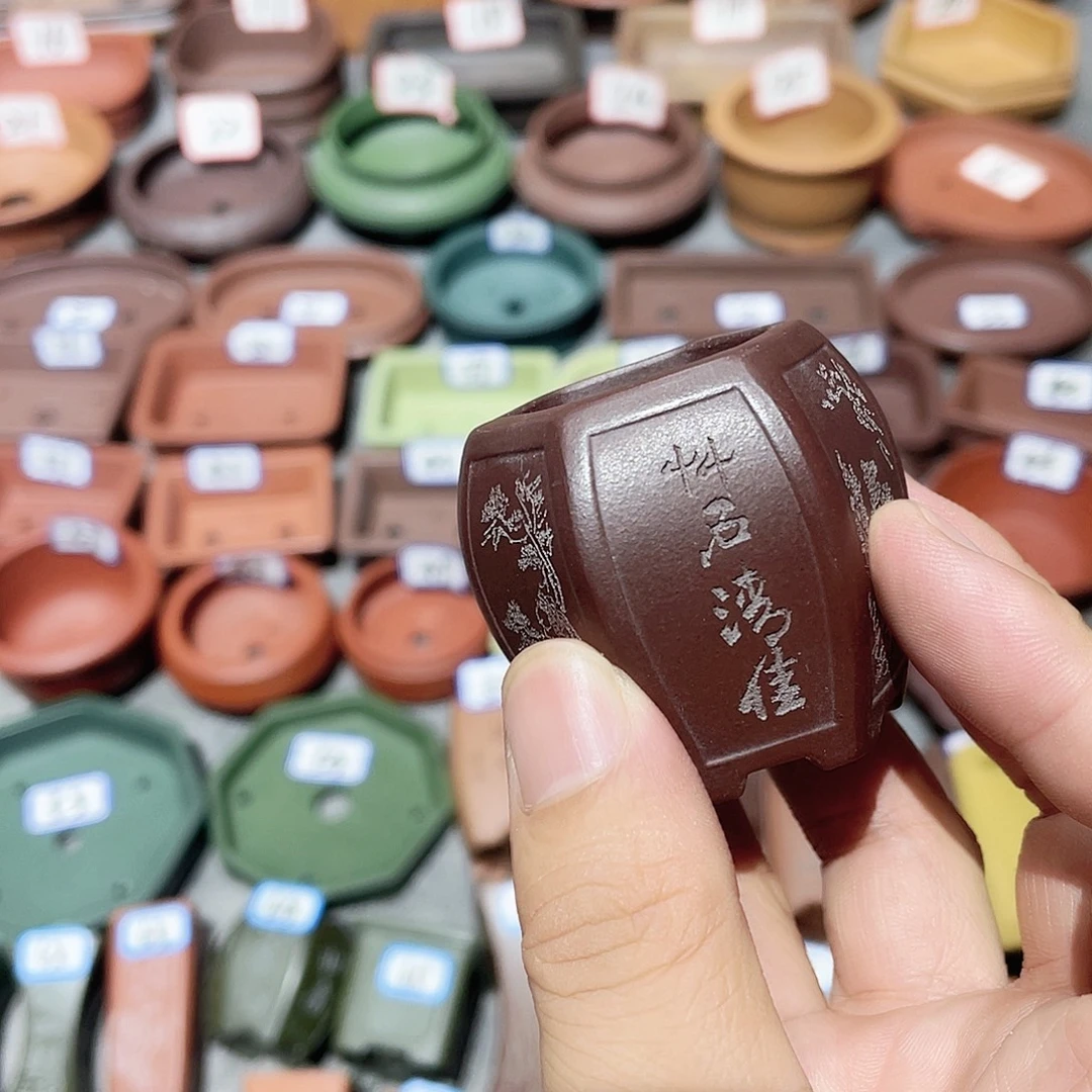 紫砂小盆3*4cmmmmm