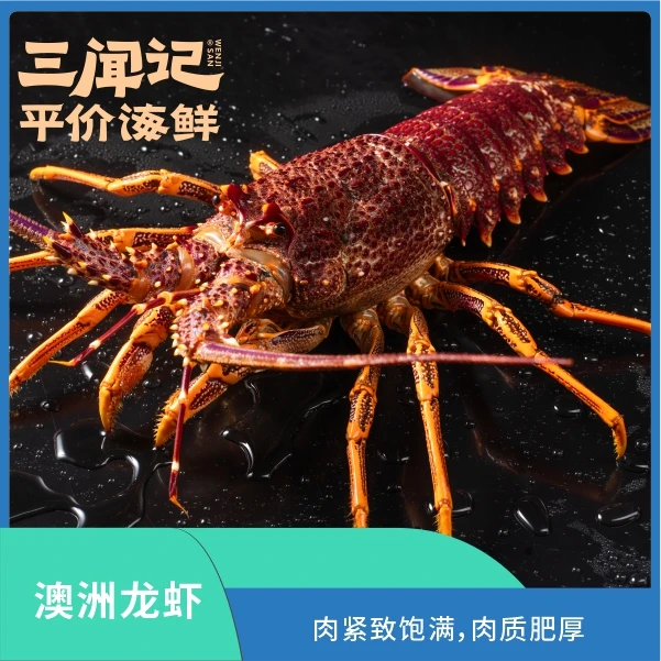鲜活澳龙/品质保证小龙虾制品小龙虾制品小龙虾制品小龙虾制品