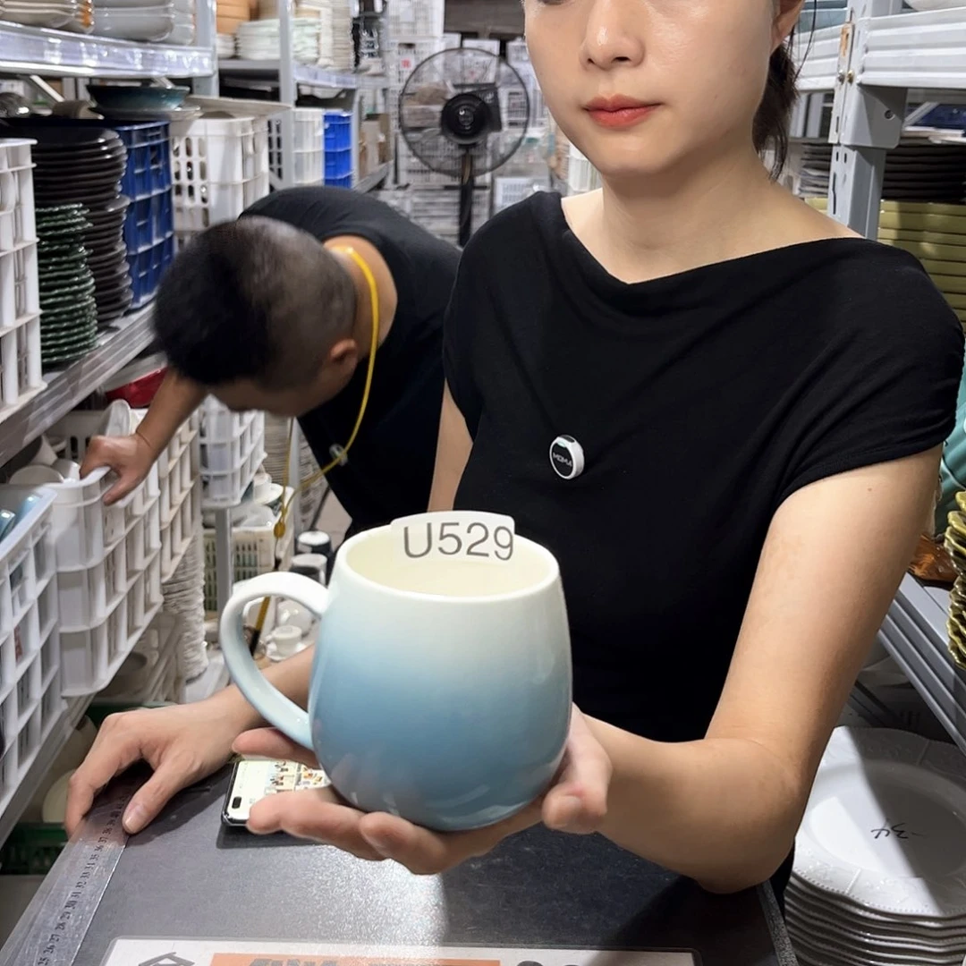瓷片529            4个