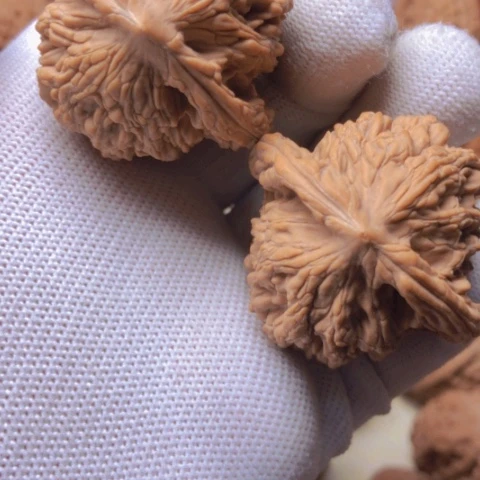 【闪购商品】桃核吊坠大**3麦穗虎头虎头