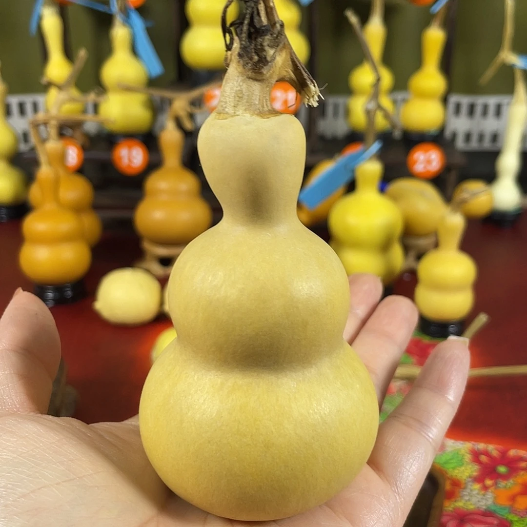 秦***哥发哈哈哈哈给vv把v并不好