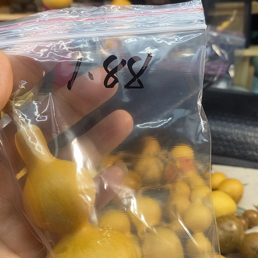 橄榄核手串/手链诺精品文玩葫芦随便挑