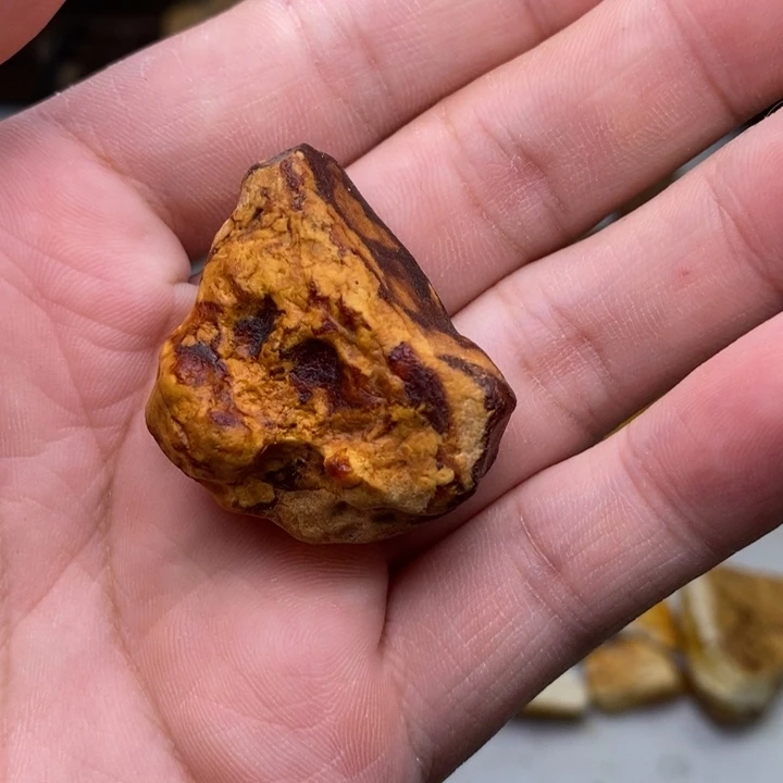 桂***高定制琥珀天然蜜蜡