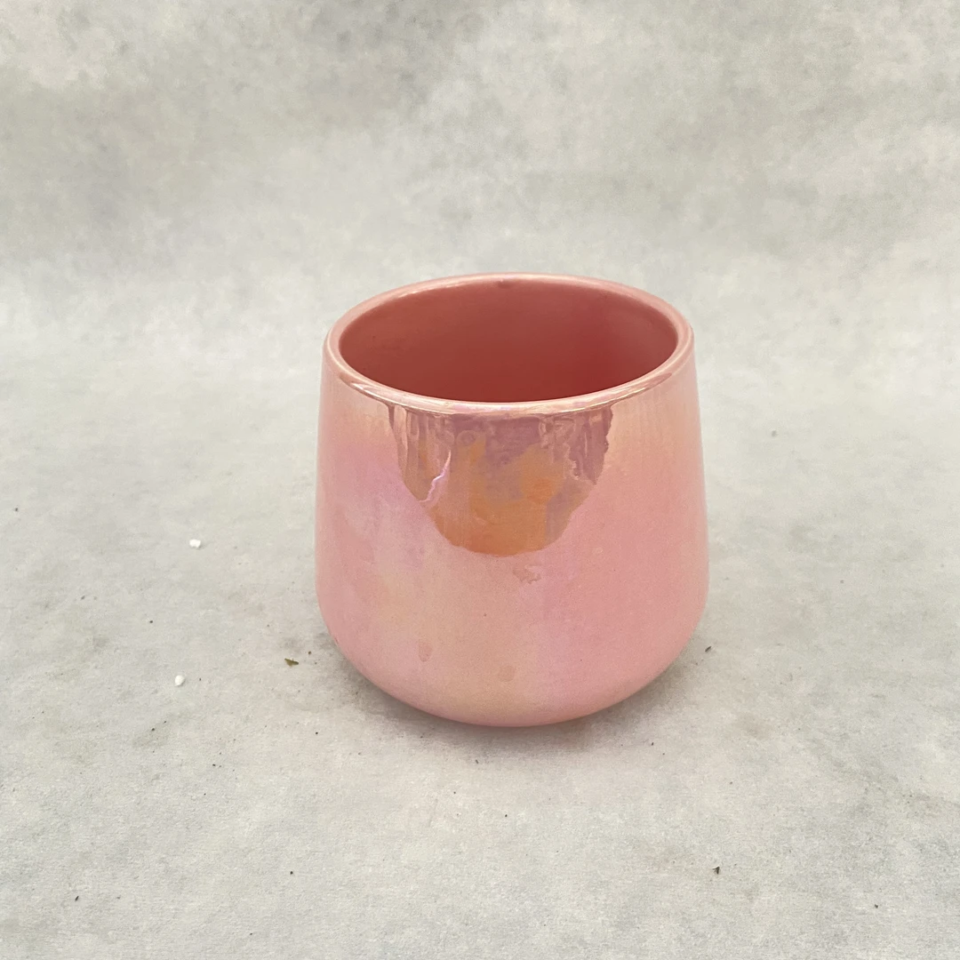 蝴蝶兰 高温烧制精美七彩陶瓷盆