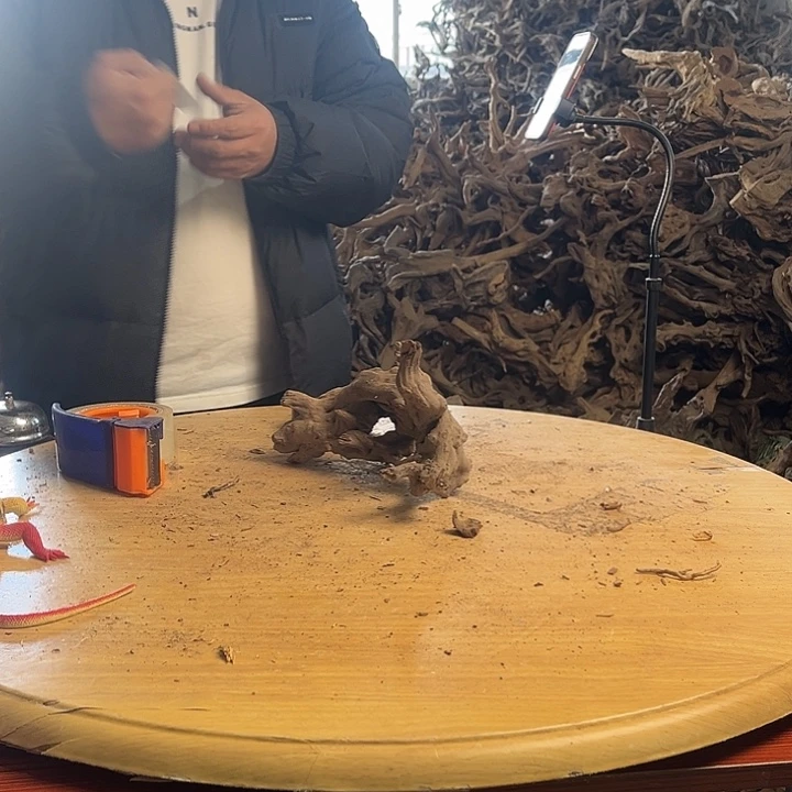 木鱼缸造景根雕摆件230