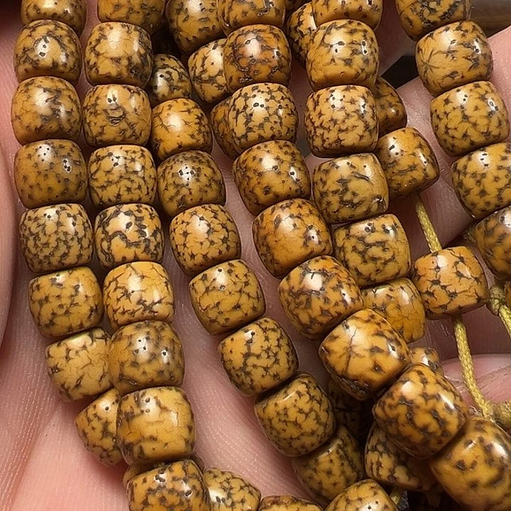 我们都是在这里看到的哈