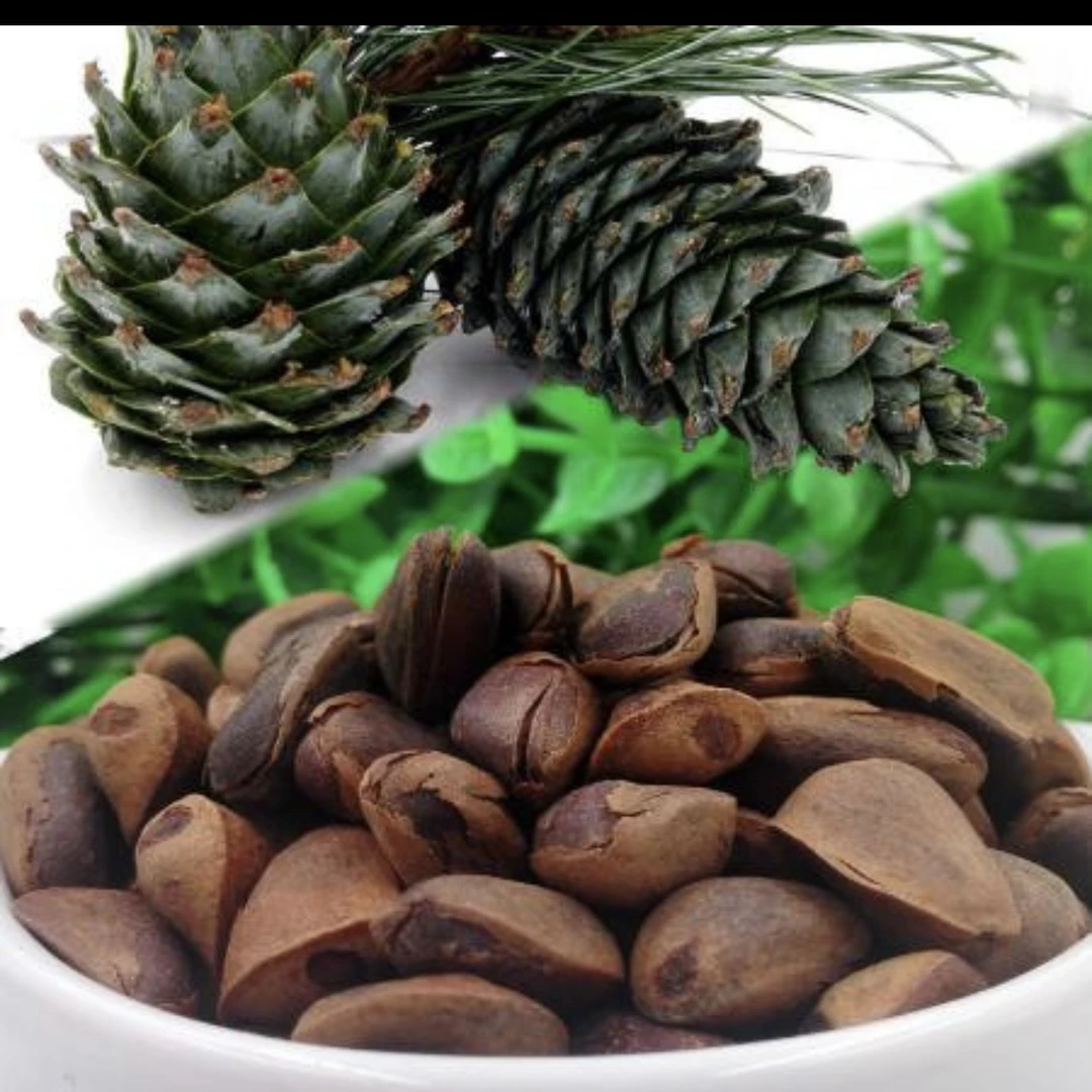 香脆开口松子大颗粒原味笨炒薄壳零食