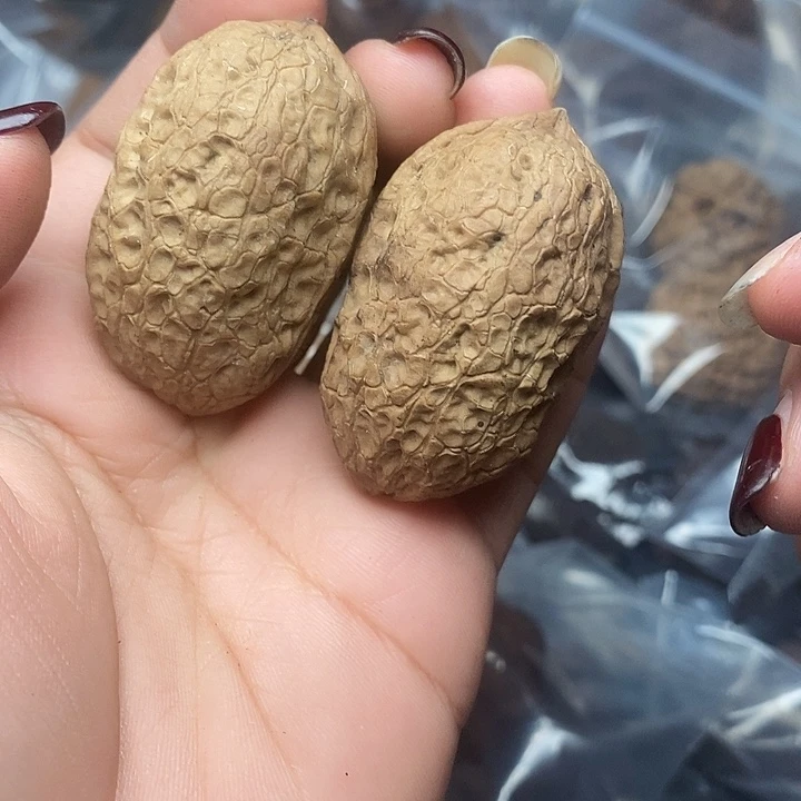 吊坠文玩核桃50号33mm