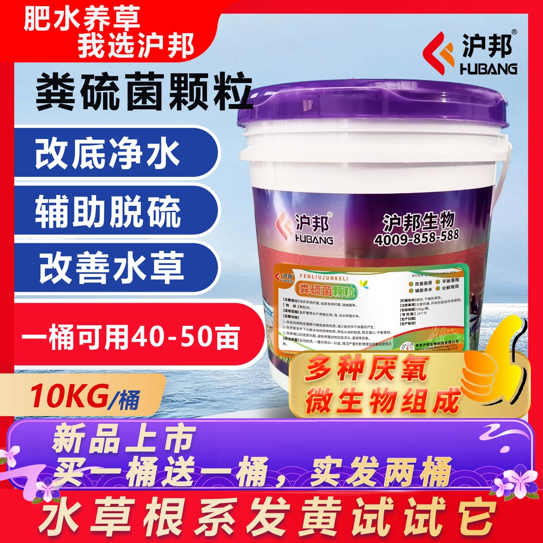 沪邦粪硫菌颗粒改底净水辅助保草去硫化氢颗粒沉底桶装抛洒鱼虾蟹