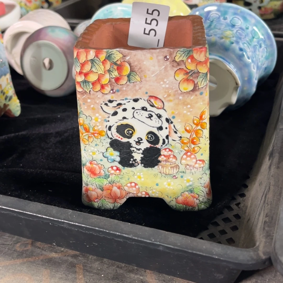 乔***儿555多肉花盆250元1个