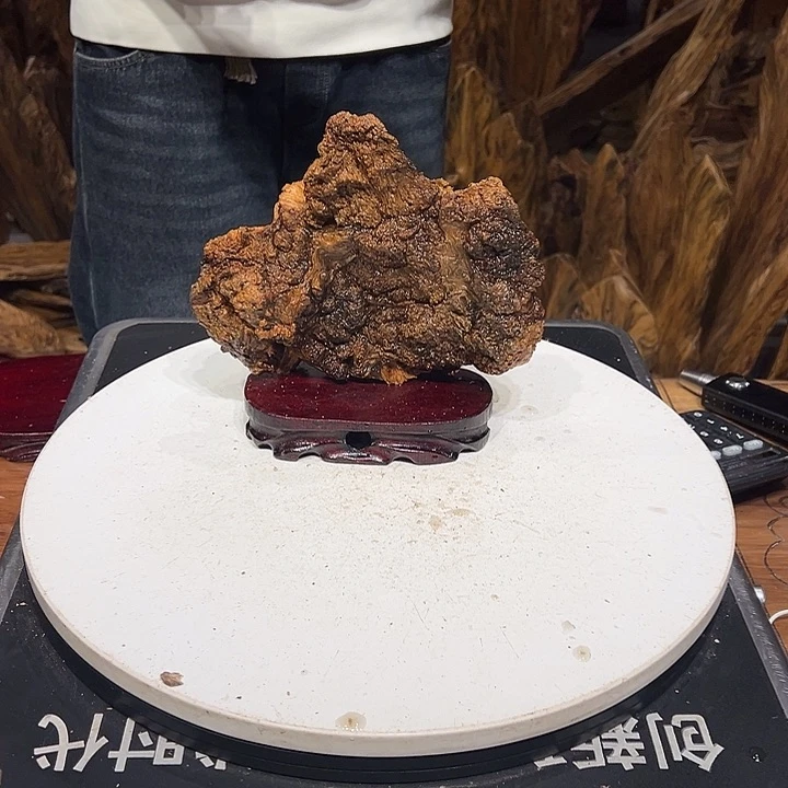 松木（琥珀木）猜***?