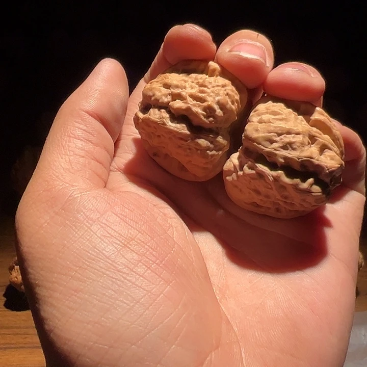 黑****吊坠文玩核桃1111111