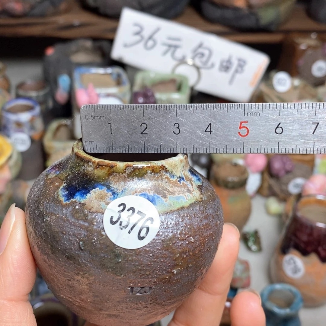 拍5送一个小礼物