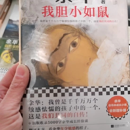 胆小如鼠胆小如鼠