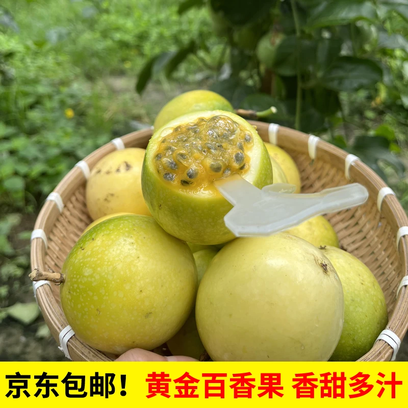 顺丰包邮 正宗钦蜜9号黄金百香果香甜多汁赣南百香果黄色新鲜水果