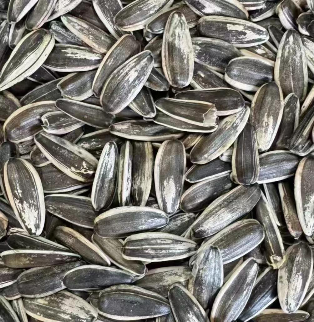 原味熟瓜子两斤装不含干燥剂