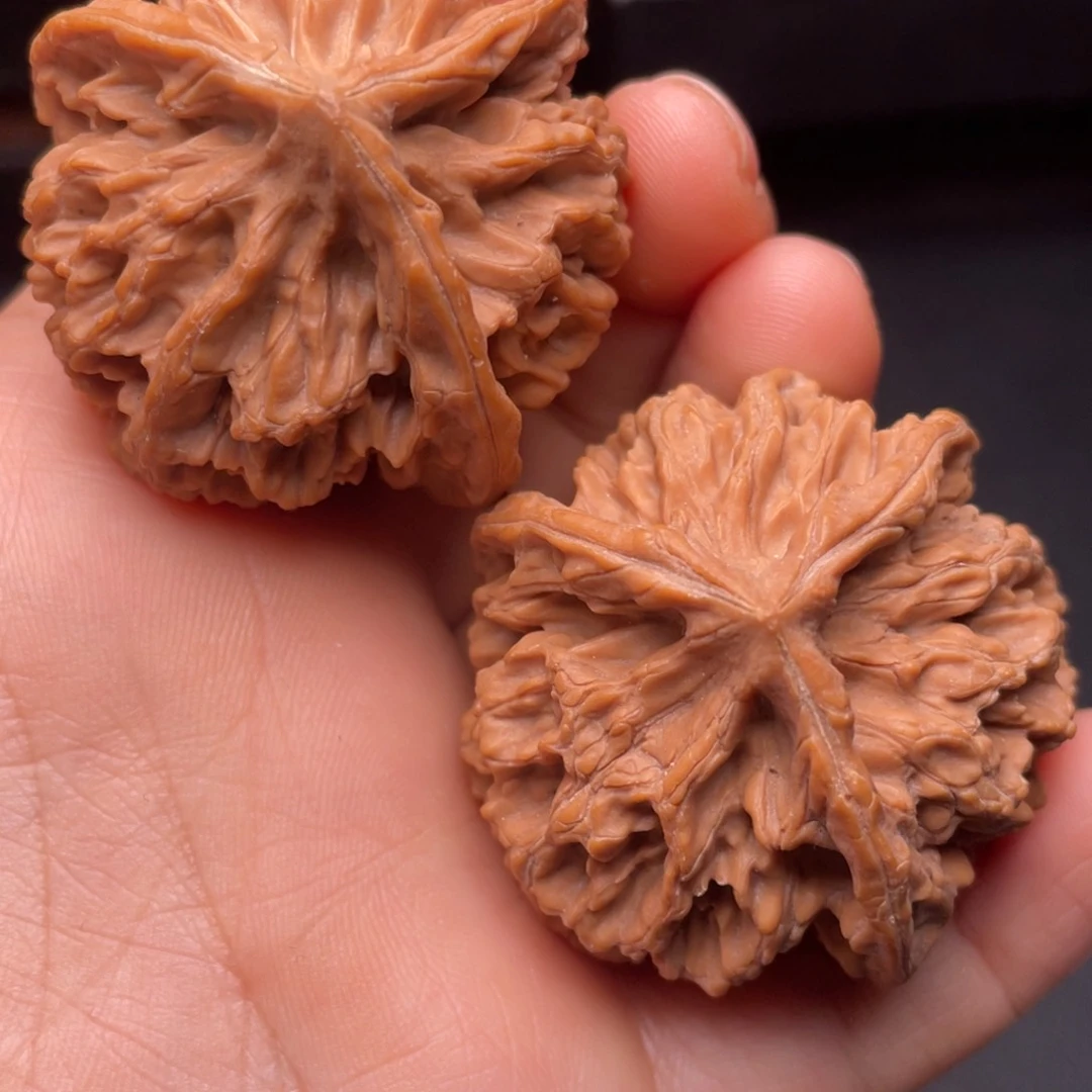 秦岭山脉文玩核桃