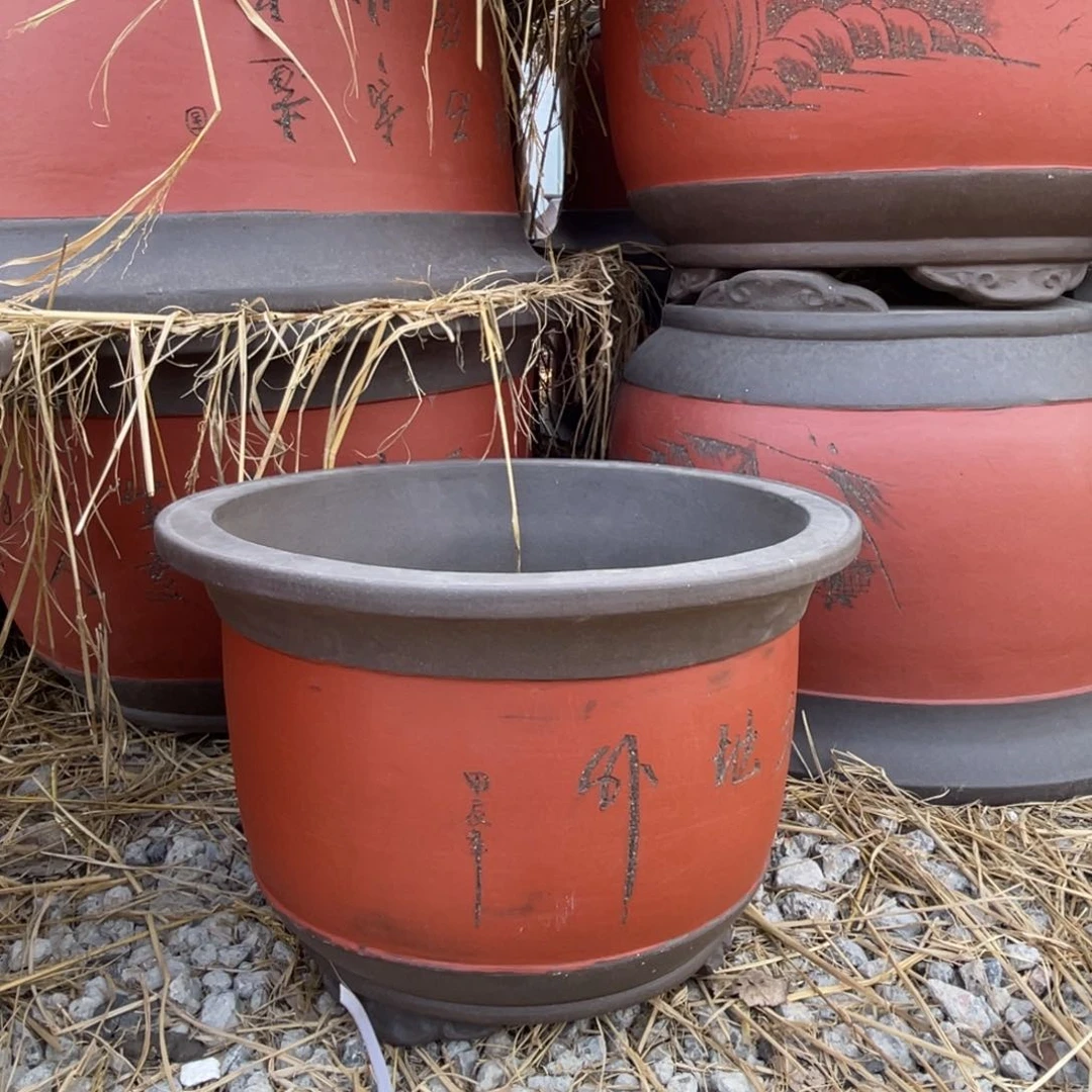 紫砂大金钟 小号 俩支