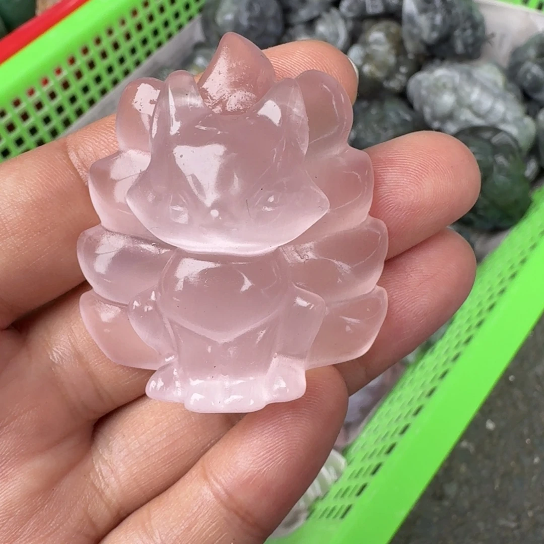 九尾猫眼的小可爱们