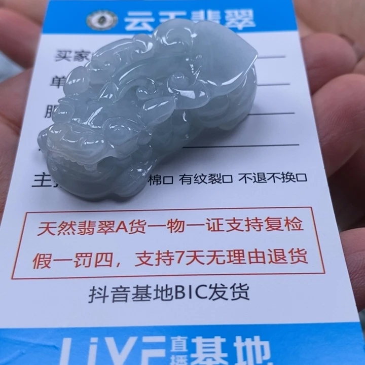 翡翠未镶嵌颈饰多人貔貅