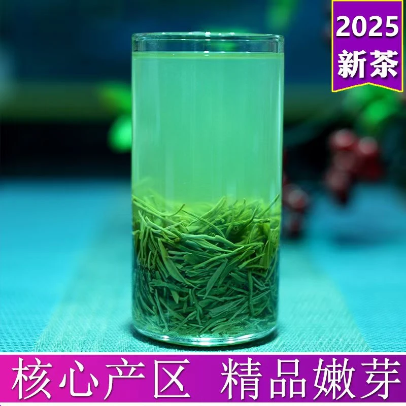 正宗信阳毛尖茶厂2025新茶毛尖福利爆款高山雨前嫩芽好茶绿茶散装