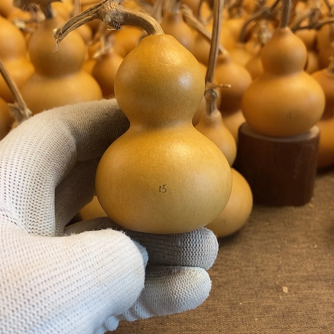 文玩葫芦 完美主义者 慎拍15