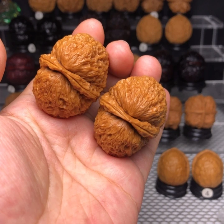 橄榄核吊坠8食蚁兽