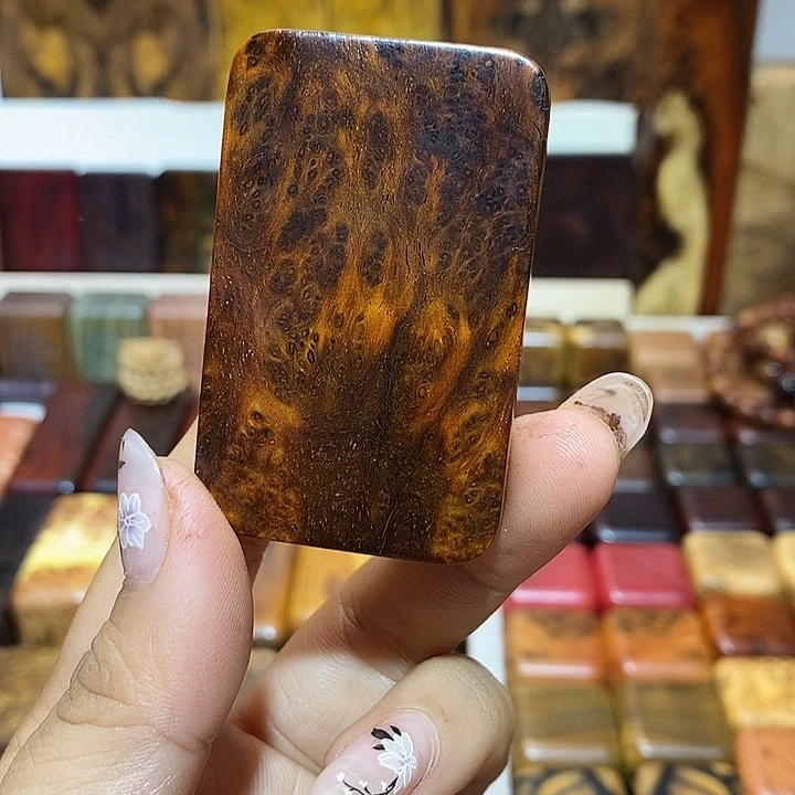 『***』香榧木木木木木木木木