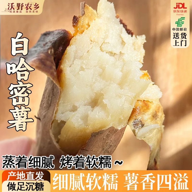 白哈密薯冰糖白薯烤红薯软糯香甜地瓜健康粗粮宝宝辅食孕妇食物