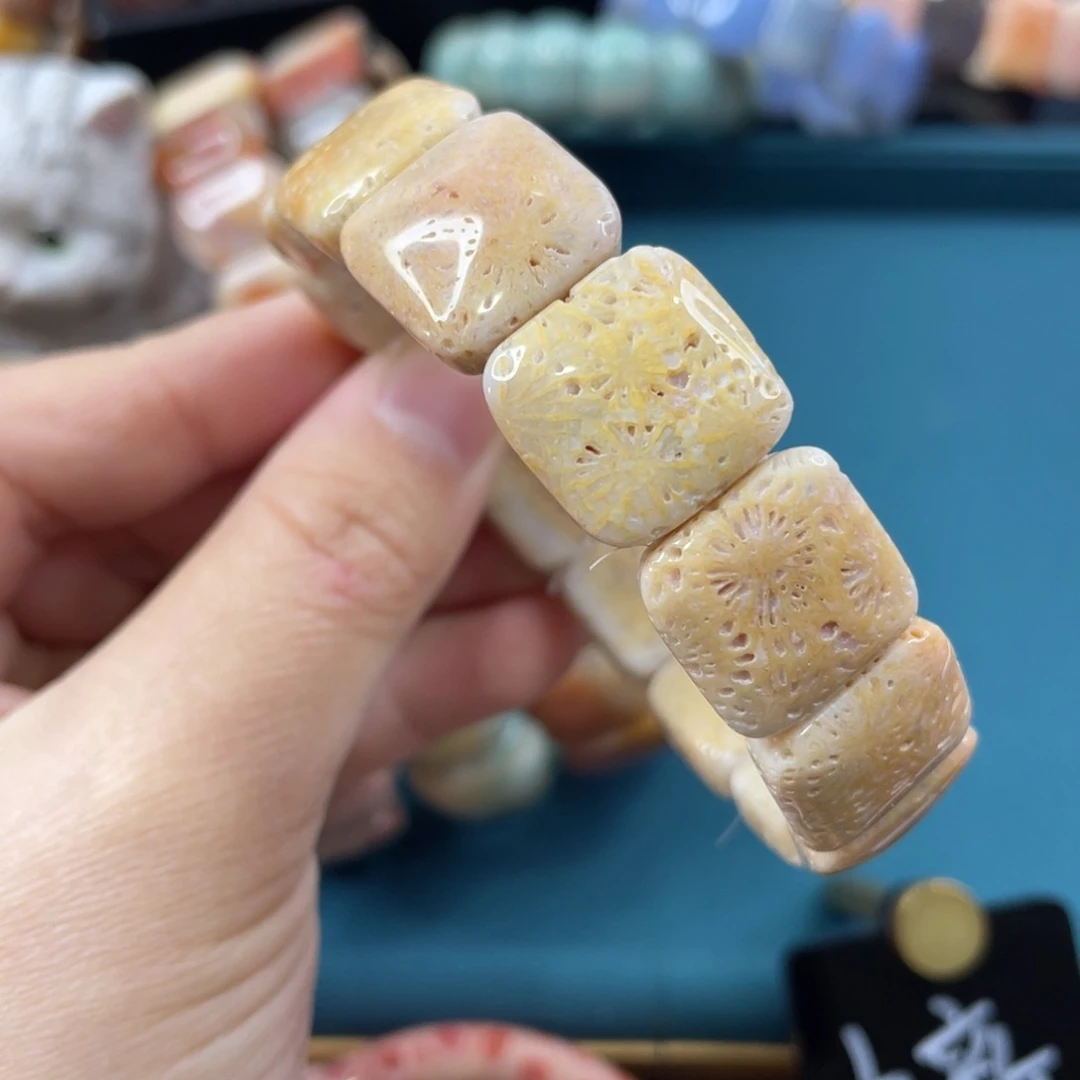 未镶嵌手镯硅化玉