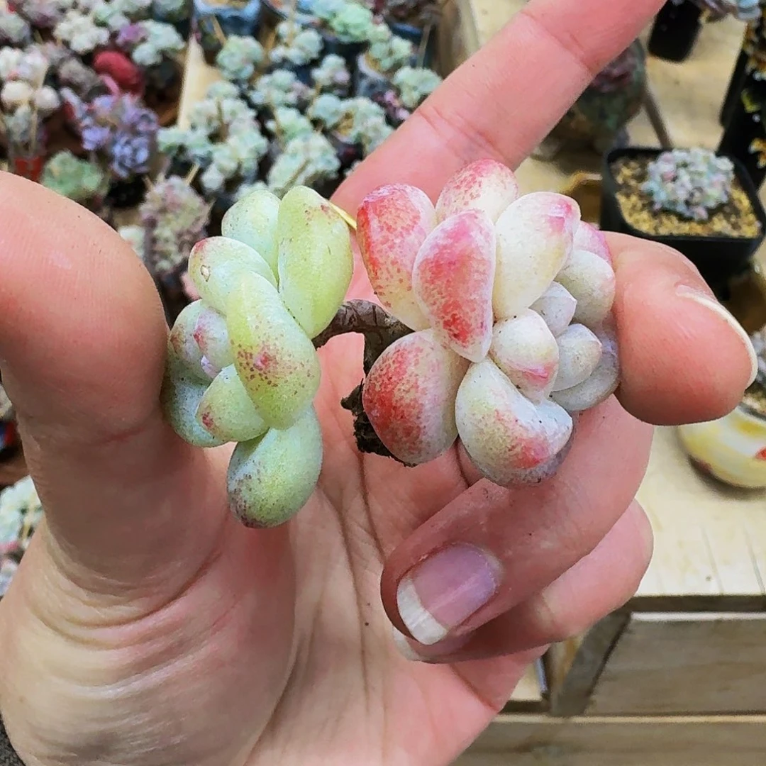 ?哈哈哈哈哈哈哈哈哈哈