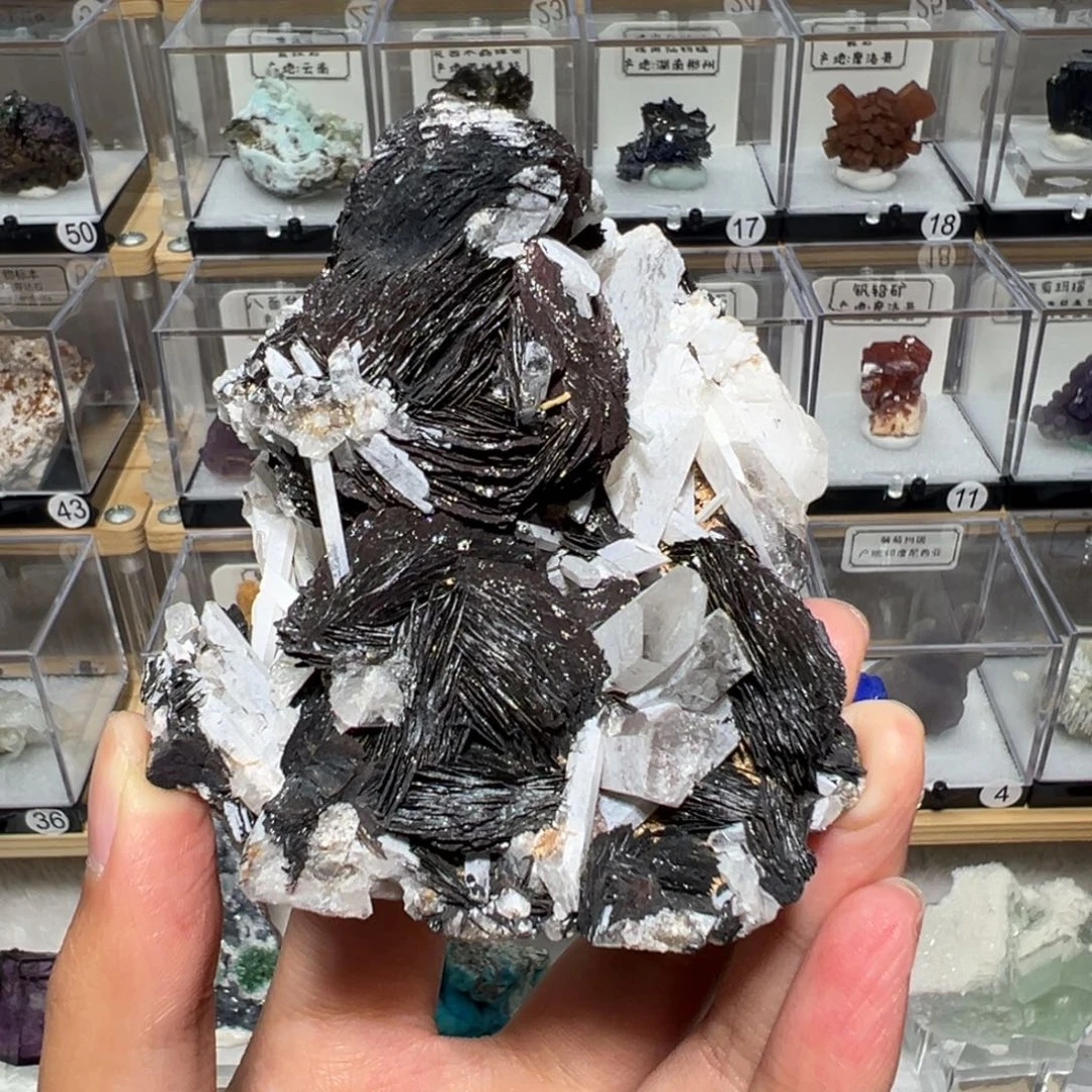 有机玻璃产地广东