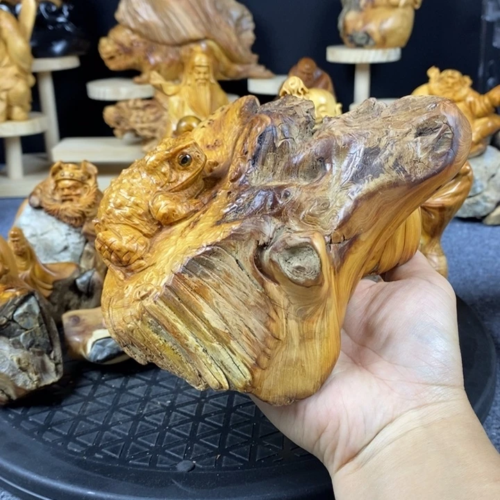 柏木崖柏崖柏崖柏崖柏崖柏