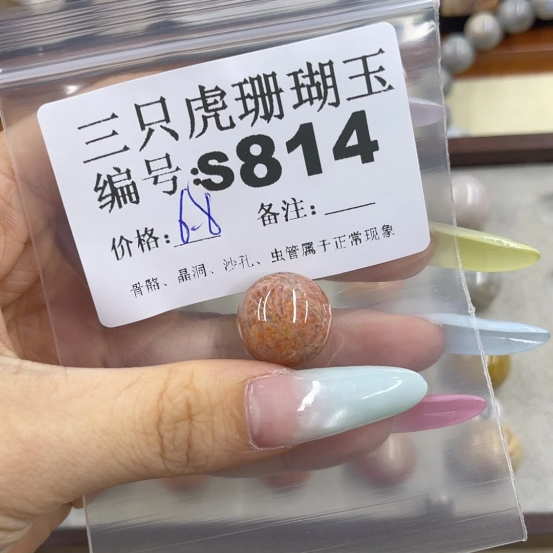 @****硅化珊瑚（珊瑚玉）h银S925镀金镶嵌