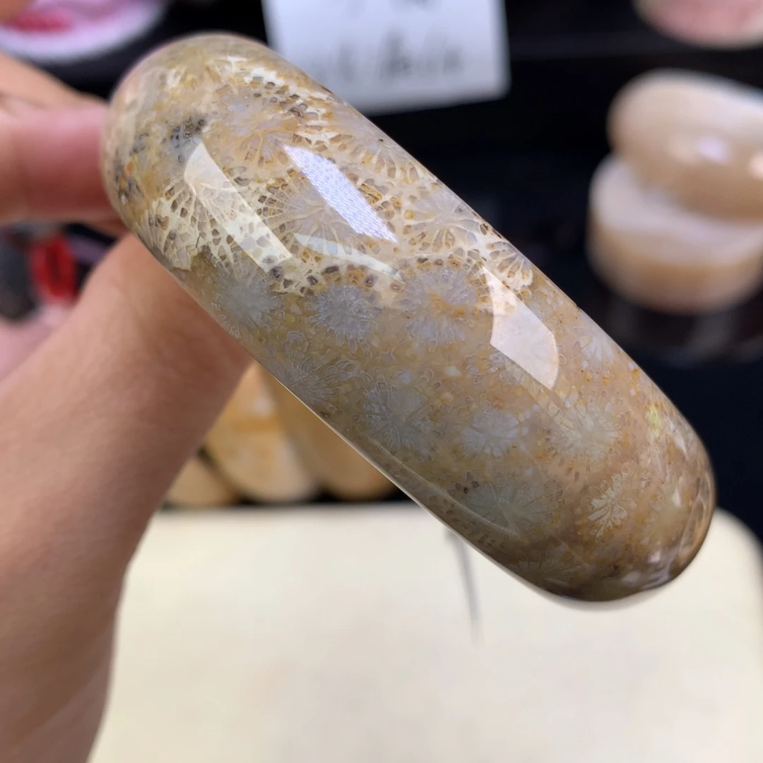 硅化珊瑚（珊瑚玉）未镶嵌吊坠(赠链)五折手镯55.9圈（35号）