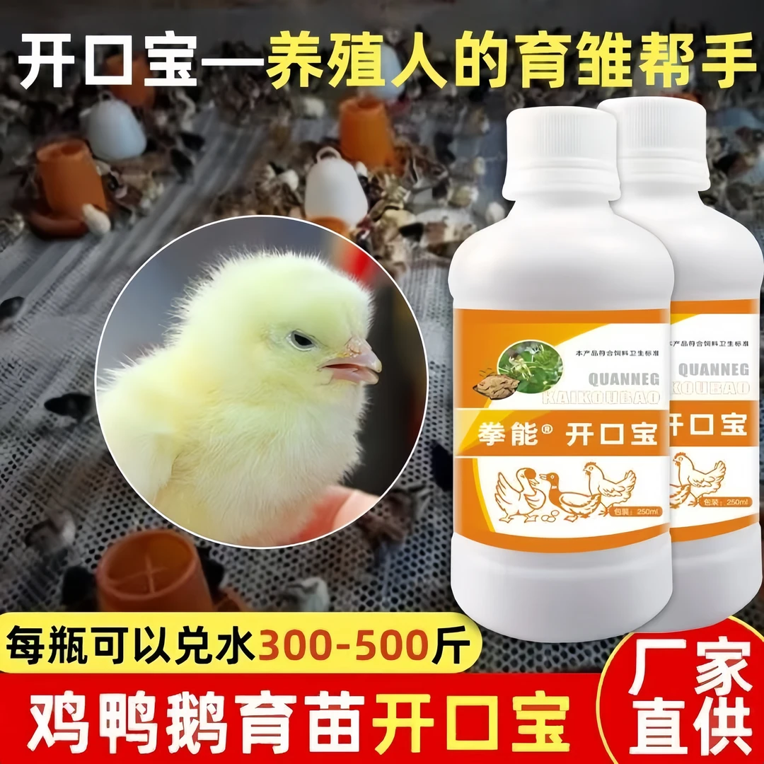 小鸡开口宝雏禽专用鸡鸭鹅育苗好帮手可饮水家禽养殖饲料育雏宝