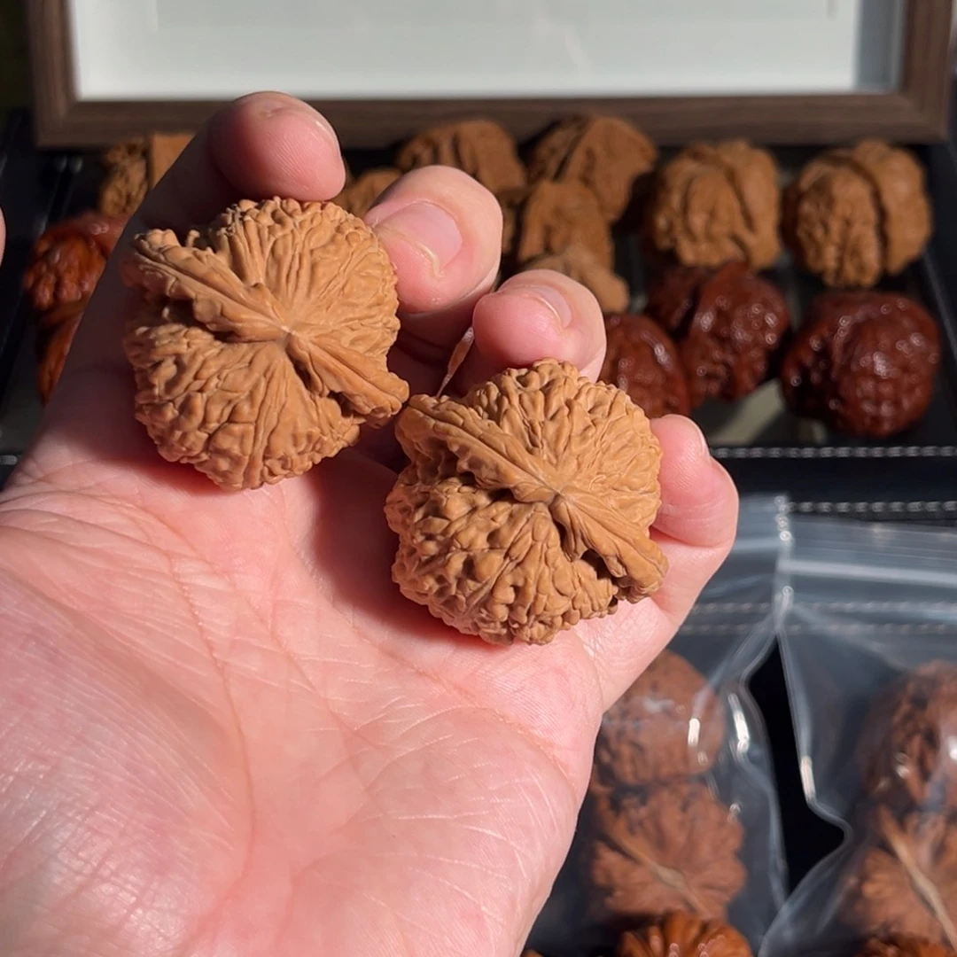 核桃手串/手链43全品球白