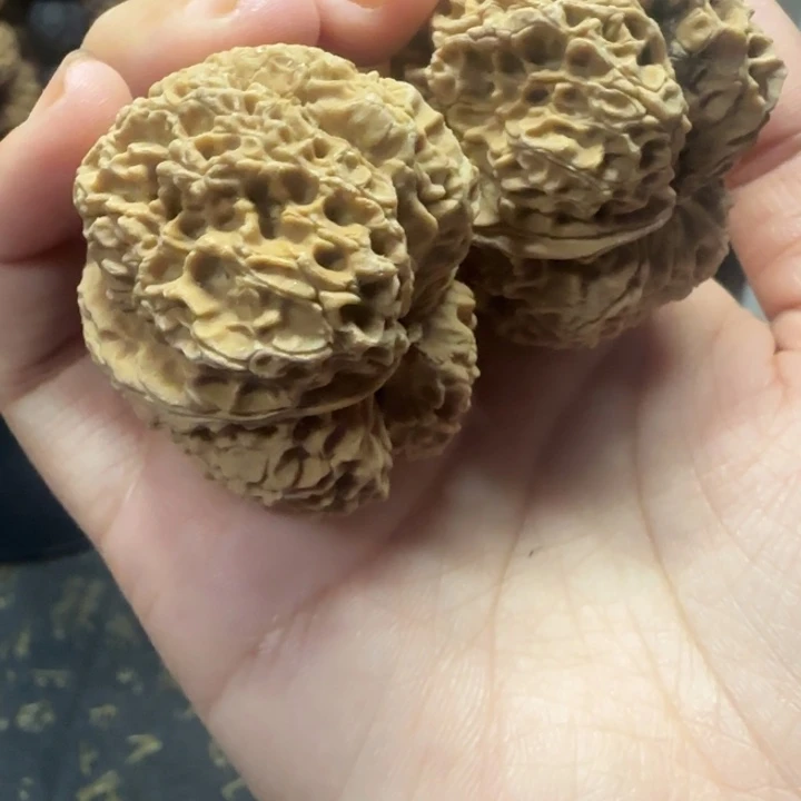 ****海文玩核桃吊坠41开背貔貅