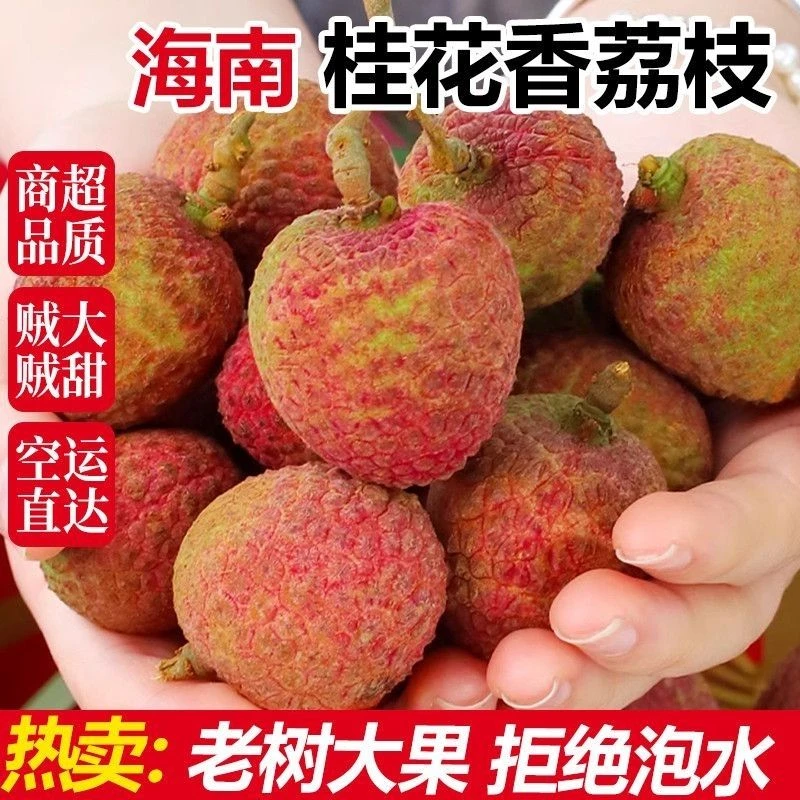 【现货直发空运K】头茬海南桂花香新鲜荔枝当季新鲜水果当季精选果