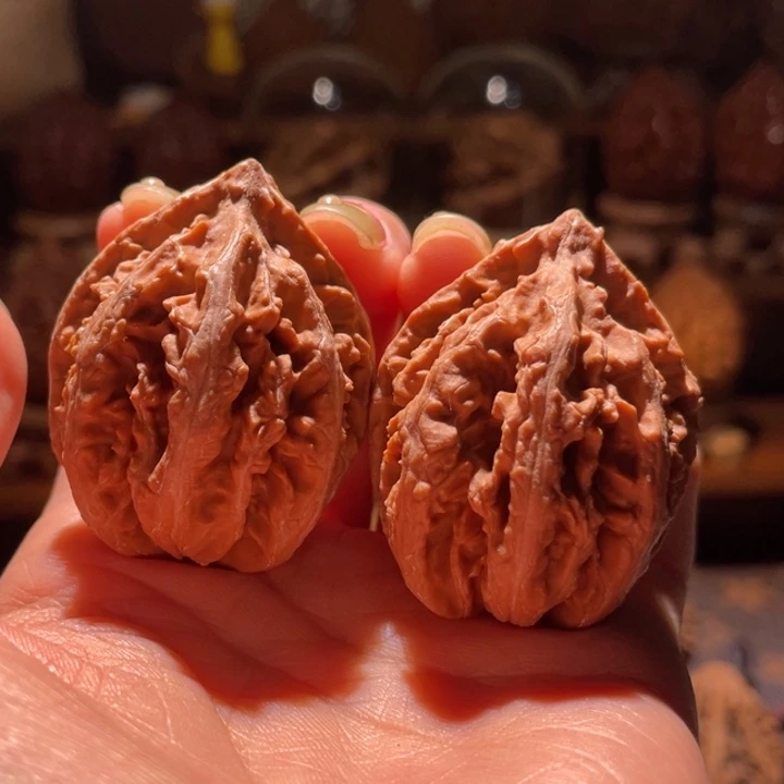 文玩核桃吊坠落****！八棱珊瑚42