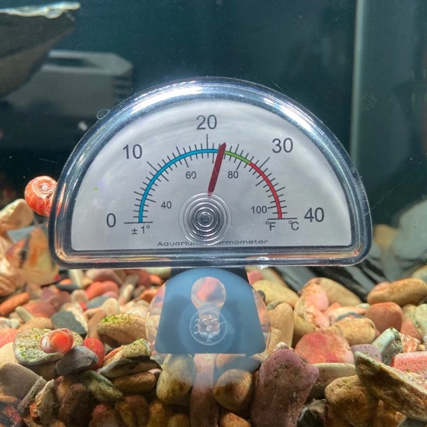 鱼缸温度计高精度水族潜水迷你吸盘挂钩指针式无需电池防水水温计