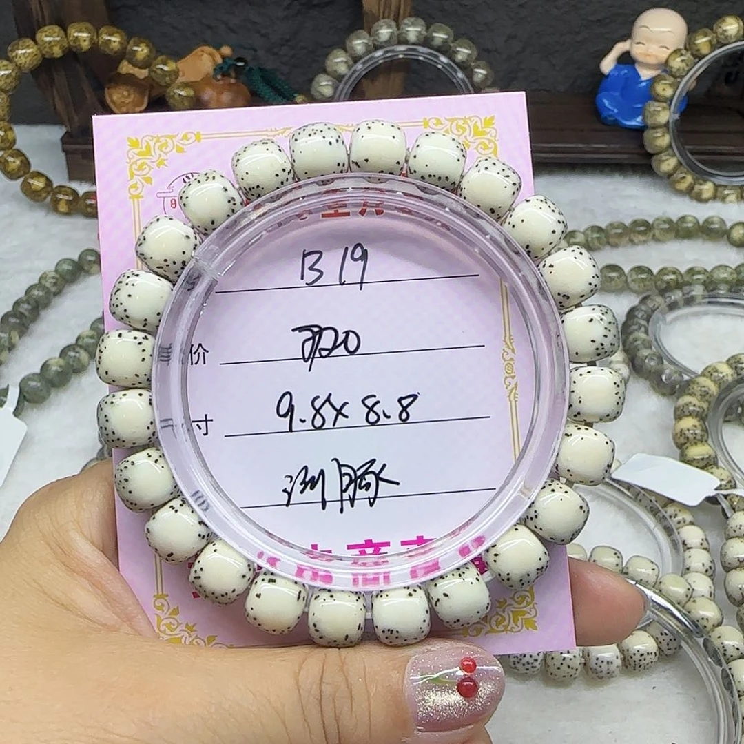 心月星月菩提一号B19