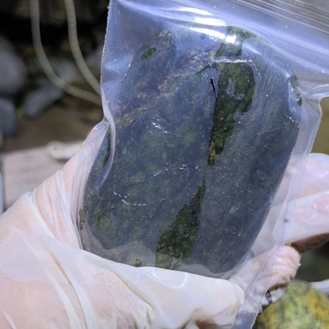 石材善**下藏玉药王石原石手把件一个