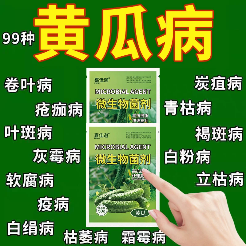 黄瓜病通用锈病炭疽灵叶斑病疫病枯萎病根腐病专用微生物杀菌剂