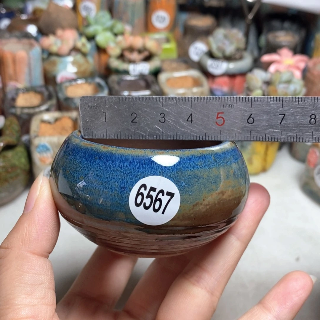 拍5送一个小礼物